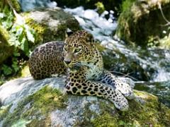 149 BIO PARC DE DOUE LA FONTAINE 6- 2016_000050